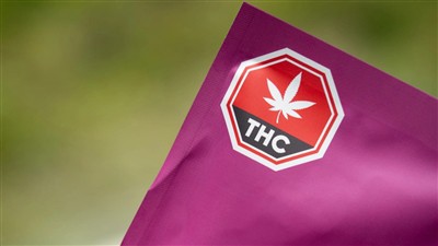 Varför cannabisindustrin måste anta standardiserad THC-styrkamärkning